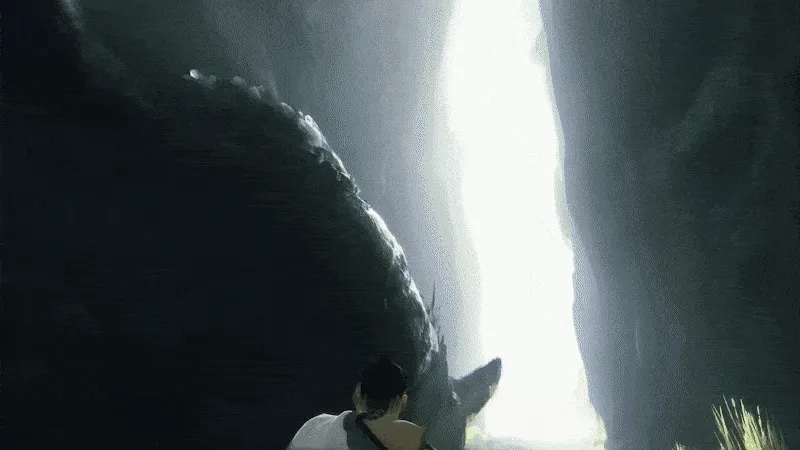 the-last-guardian